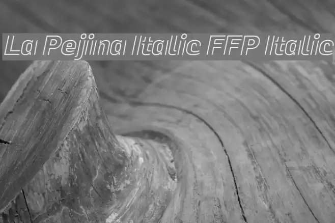 La Pejina Italic FFP Italic Fuentes examples