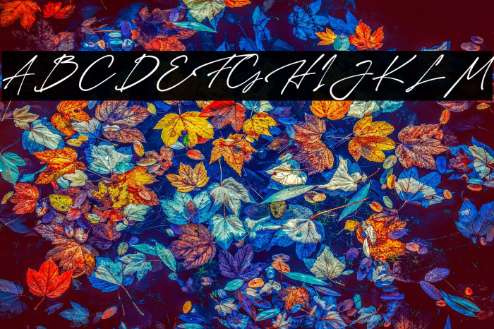 La Petite Robe Example 2