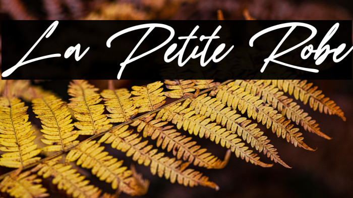 La Petite Robe Example 1