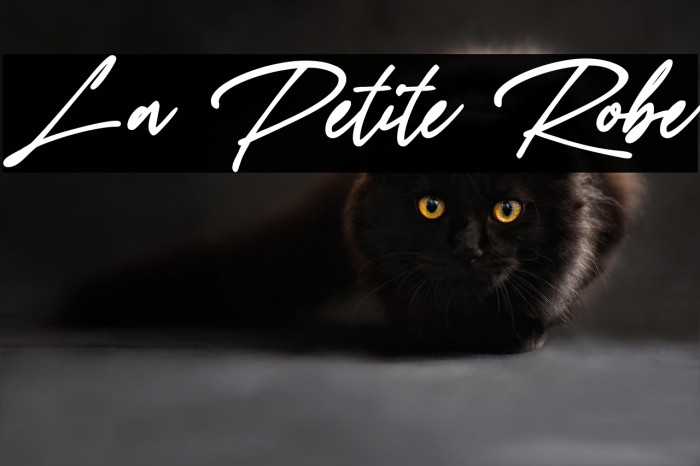 La Petite Robe Example 3