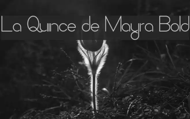 La Quince de Mayra Bold Font examples