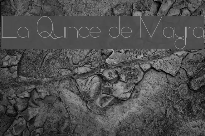 La Quince de Mayra Font examples