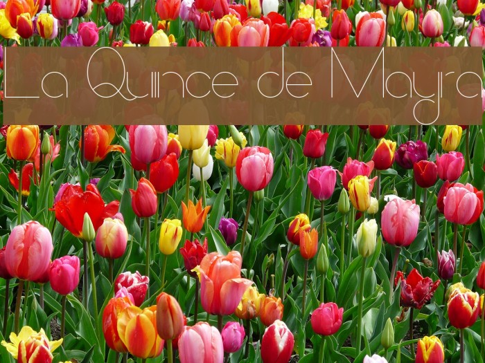 La Quince de Mayra Font examples