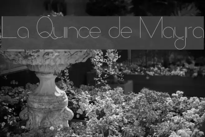 La Quince de Mayra Font examples
