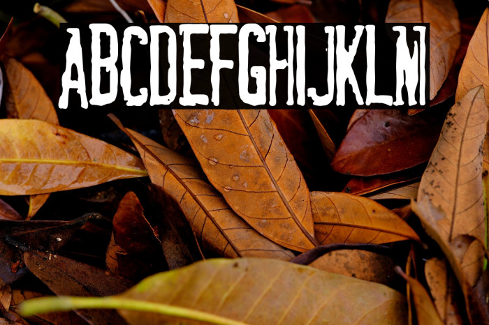 La Ramera de Barcelona Example 2