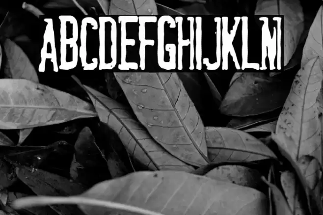 La Ramera de Barcelona Font examples