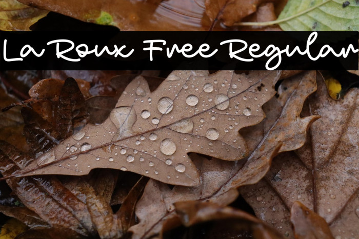 La Roux Free Regular Example 3