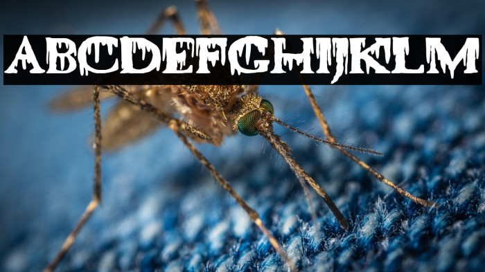 La Sangrienta Caslon Example 2