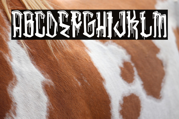 La Santa Muerte Example 2