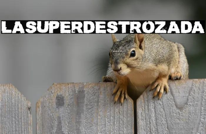 La Super Destrozada Example 2