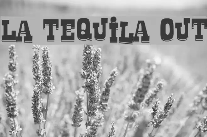 La Tequila Out Font examples