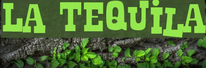 La Tequila Font examples
