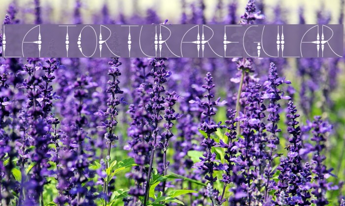La TorturaRegular Font examples