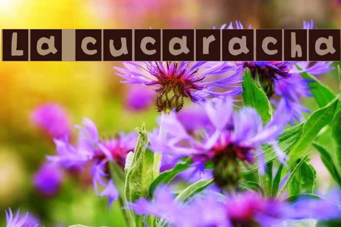 La cucaracha 字体 examples