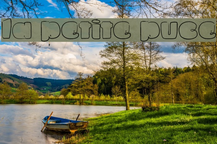 La petite puce फ़ॉन्ट examples