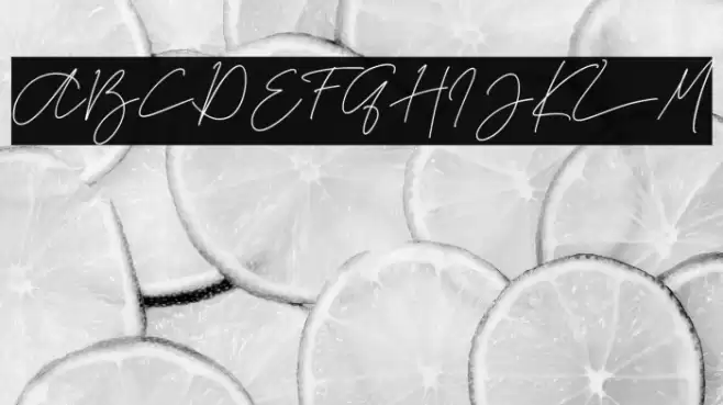 La storia -Demo- Font examples