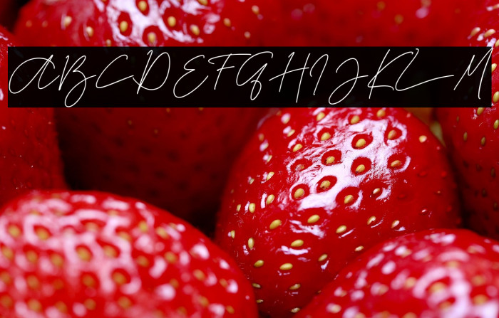 La storia -Demo- Example 2