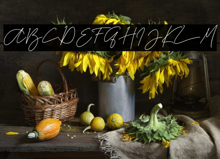 La storia -Demo- Example 3