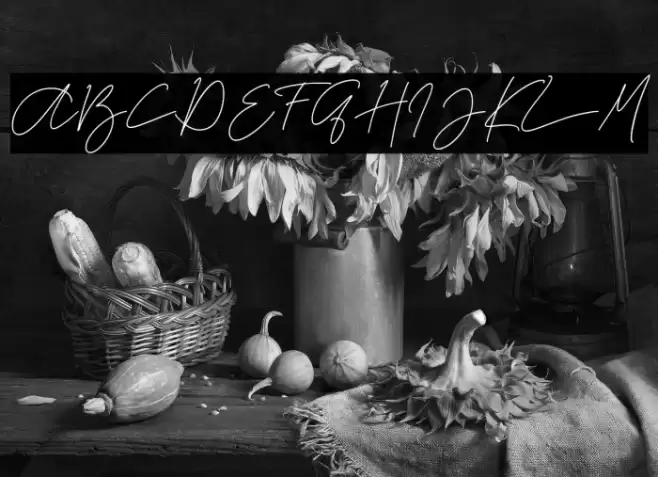 La storia -Demo- Font examples