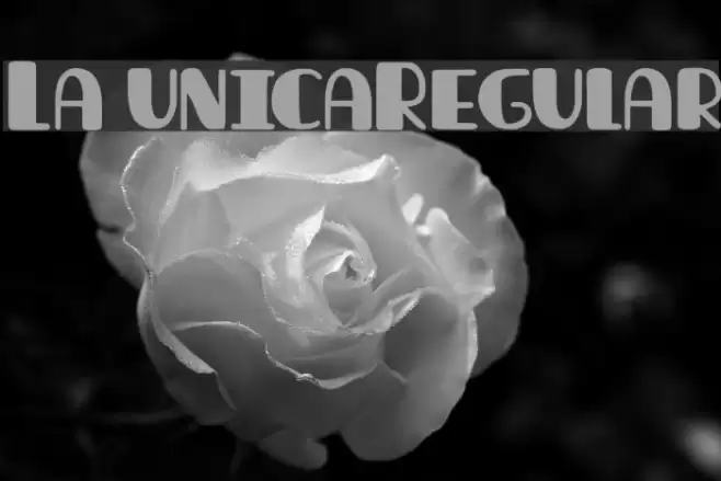 La unicaRegular Font examples