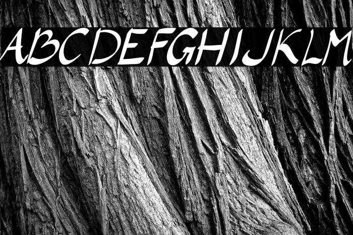 LaAladdins Example 1