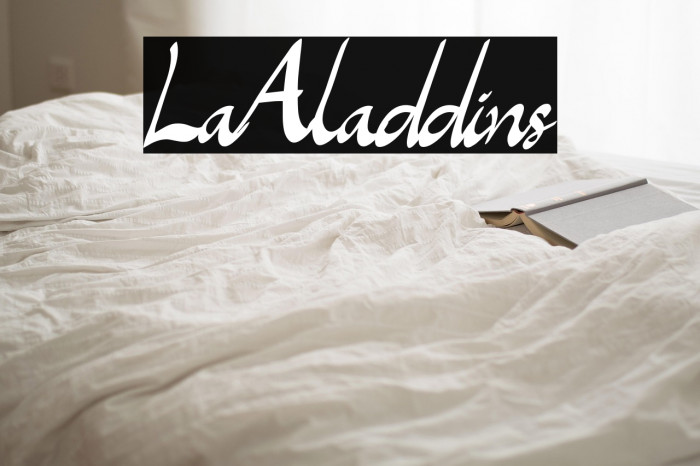 LaAladdins Example 2