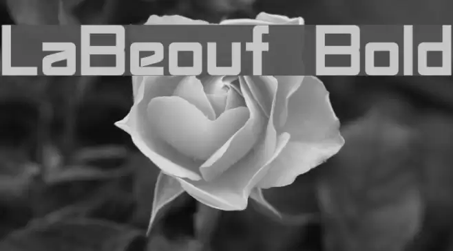 LaBeouf Bold Font examples