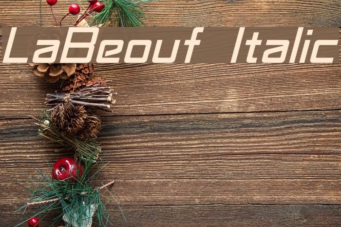 LaBeouf Italic Font examples