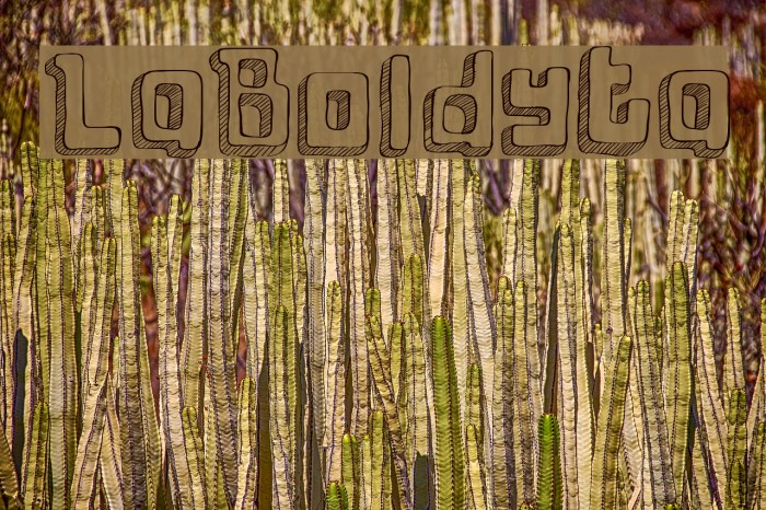 LaBoldyta Font examples
