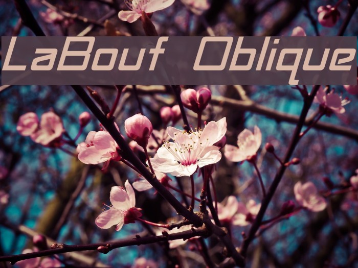 LaBouf Oblique Font examples