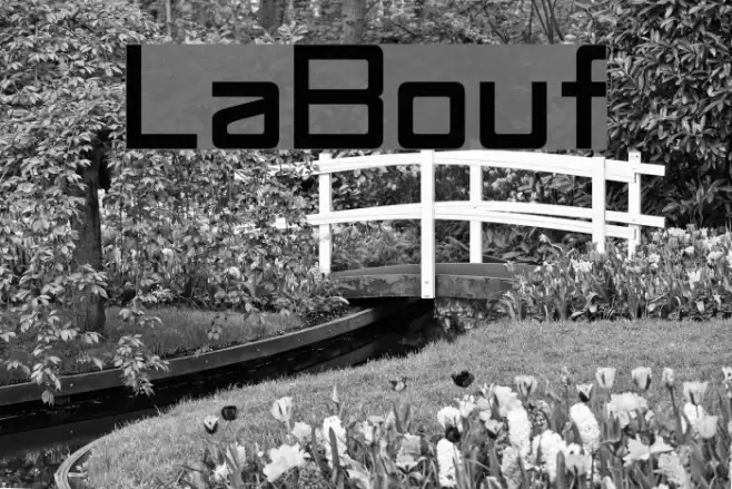 LaBouf Font examples