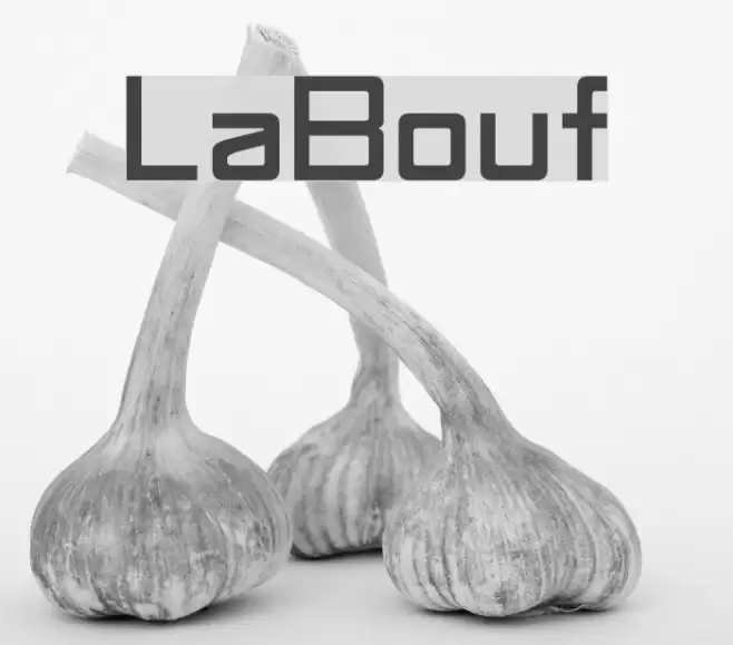 LaBouf Font examples