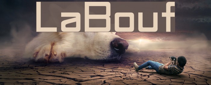 LaBouf Font examples