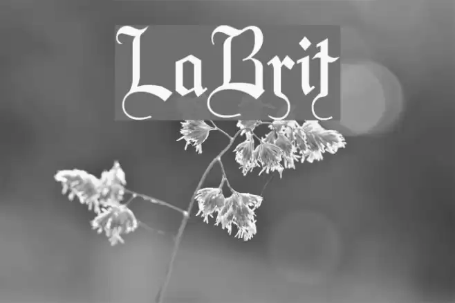 LaBrit Font examples