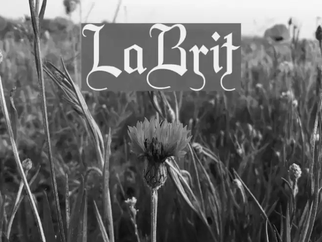 LaBrit Font examples