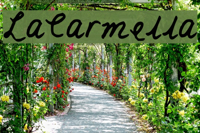 LaCarmella Font examples