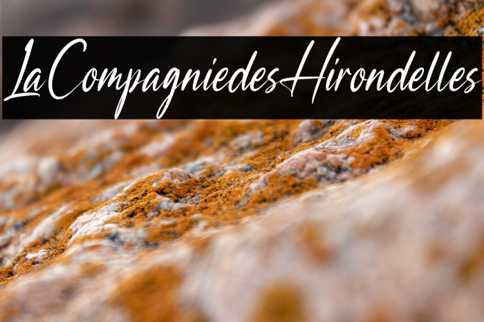LaCompagniedesHirondelles Example 1