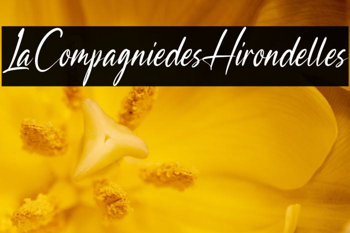 LaCompagniedesHirondelles Example 2