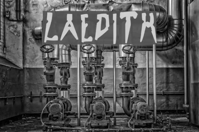 LaEdith Example 3