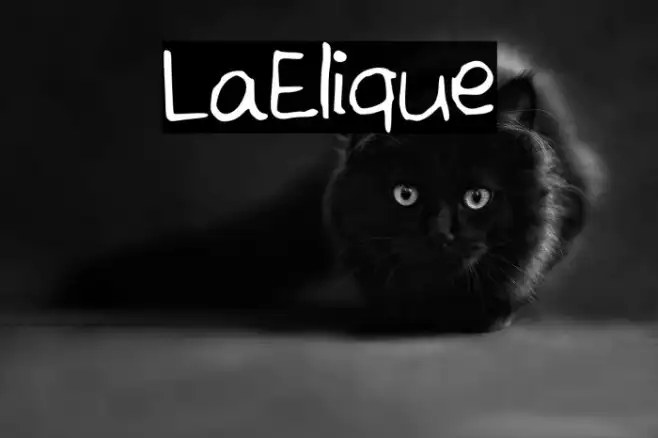 LaElique Example 1