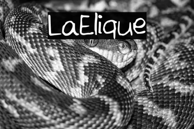LaElique Example 2