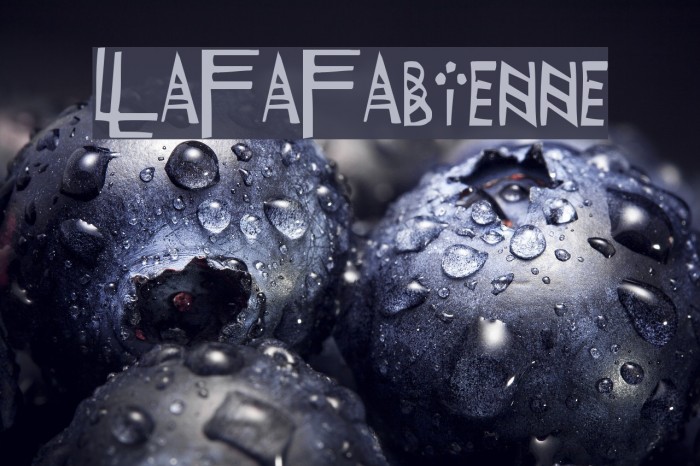 LaFaFabienne Example 1