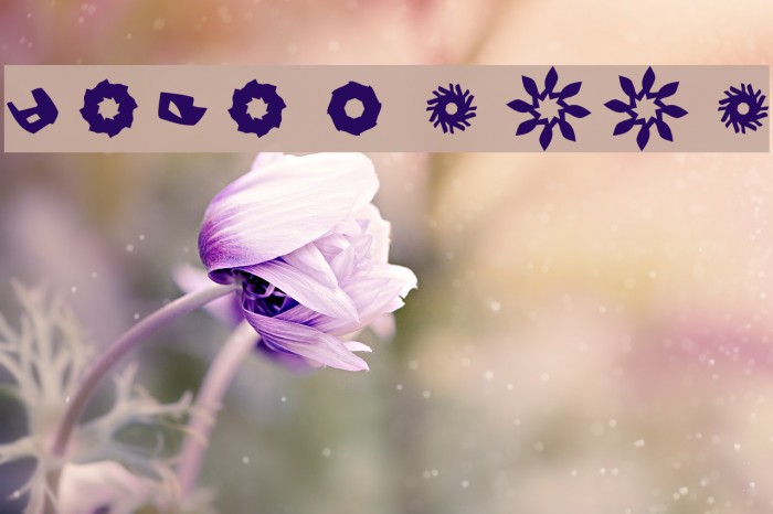 LaFanette Font examples