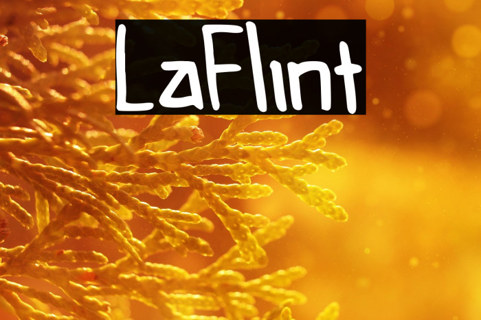 LaFlint Example 1