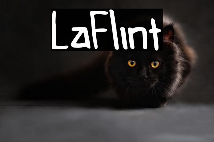 LaFlint Example 2