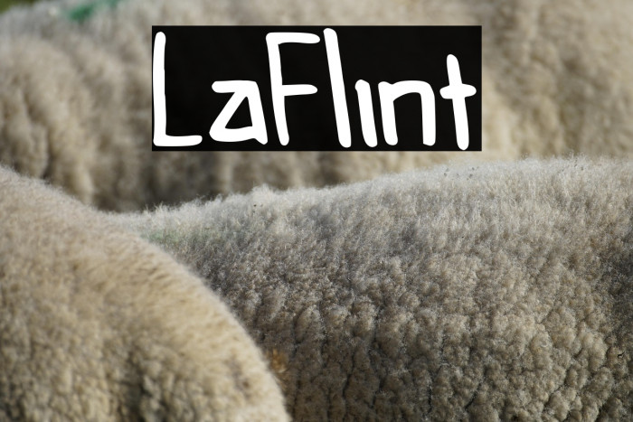 LaFlint Example 3