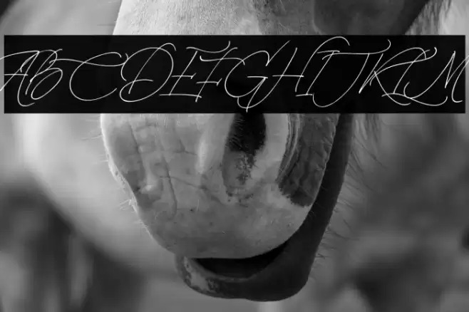 LaMonte-Regular Font examples