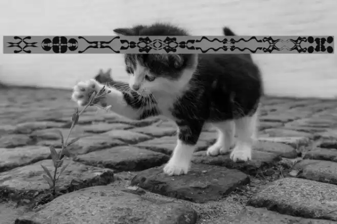 LaMorte11 Font examples