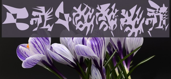 LaMorte1 Шрифта examples