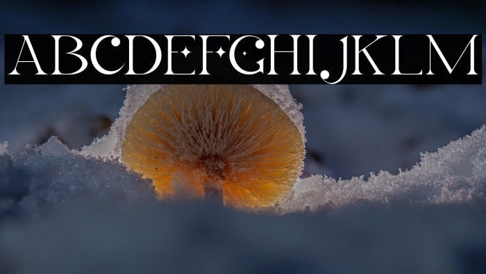 LaObrige-PersonalUse Example 1